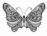 Coloring Pages Adults Butterfly Adult Animals Animal Printable Kids Bestcoloringpagesforkids Butterflies Vector Uncolored Ornaments Folk Tattoo Lot Sweet Mandala Abstract sketch template