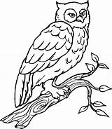 Realistic Owl Coloring Animals Pages Kids sketch template