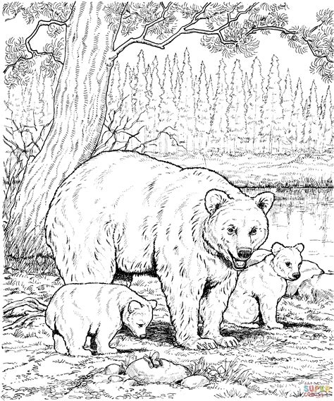 american black bear family coloring page  printable coloring pages
