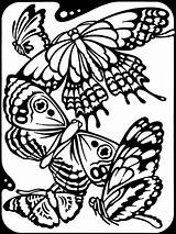 Coloring Pages Butterfly Adult Butterflies Printable Kids Beautiful Colouring Sheets Above Color Ziyaret Et Visit Various sketch template
