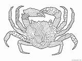 Zentangle Coloring4free Coloring Animal Pages Printable Crab Related Posts sketch template