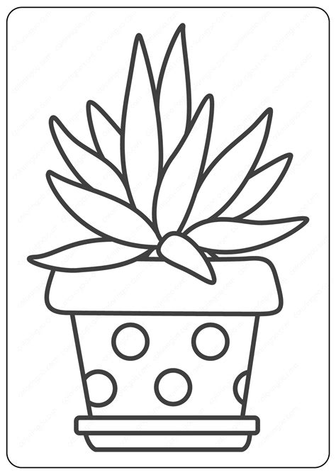 cactus coloring pages printable printable world holiday