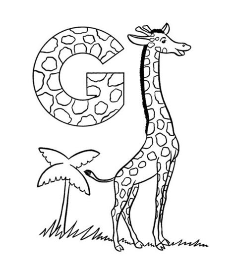 giraffe coloring pages giraffe coloring pages abc coloring