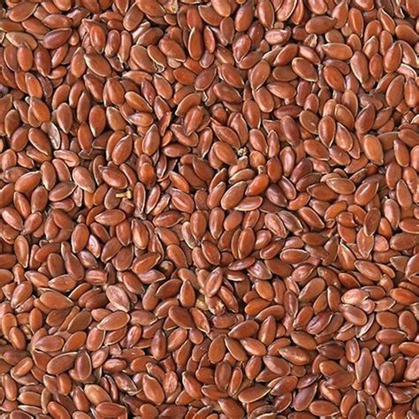 generic flax seed