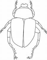 Coloring Pages Beetle Printable Bug Template Kids Scarab Drawing Insect Bugs Stencils Beetles Templates Outline Color Patterns Pre Stencil Pdf sketch template