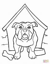 Bulldog Coloring Pages Kennel English Printable Drawing French Face Clipart American Puppy Drawings Draw Line Dog Bulldogs Bull Color 1100px sketch template