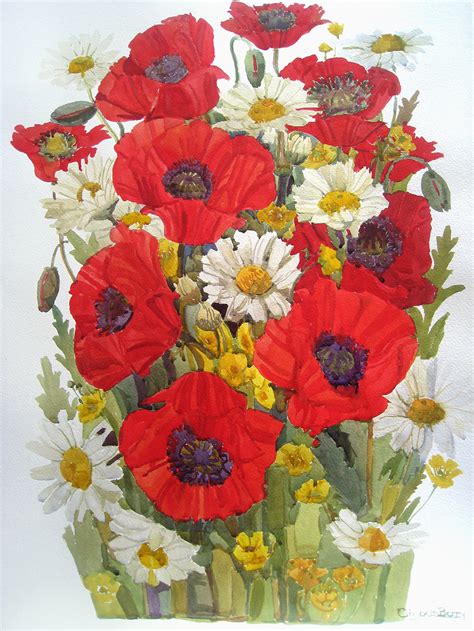 red poppies  daisies elizabeth berry watercolour
