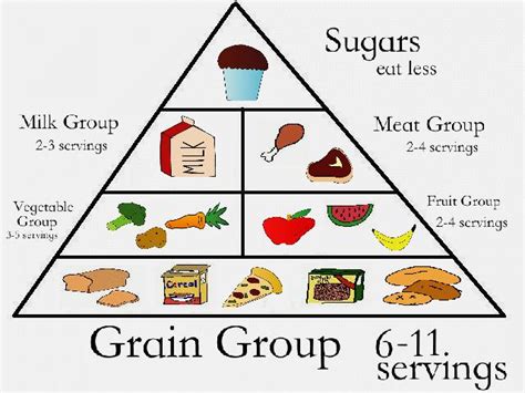 food pyramid created  imageblender picslearning
