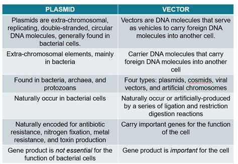 introduction  plasmid preparation synbio technologies