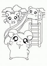 Coloring Pages Cute Hamster Hamtaro Kids Hamsters Ham Popular Printable Friends Choose Board Coloringhome Animal Cartoon sketch template