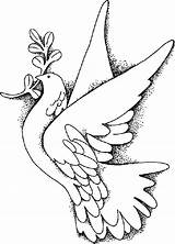 Doves Dove Drawing Coloring Pages Getdrawings sketch template