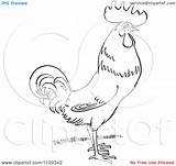 Rooster Clipartof Coloring sketch template