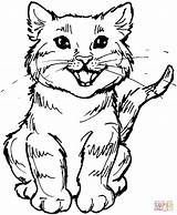 Coloring Pages Kitten Meowing Cat Printable Drawing sketch template