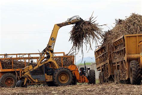 kenya plans to import sugar from comesa the east african