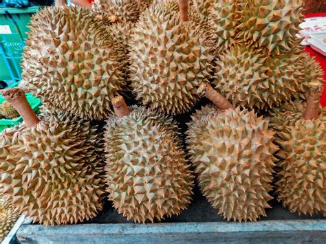 durian mangostan  superfruechte aus asien die du probieren musst