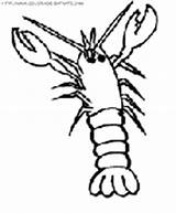 Coloring Crawfish Book Pages Kids Printable Print sketch template