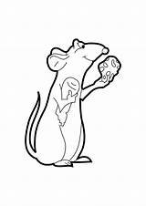 Cheese Coloring Rat Mouse Pages Macaroni Animals Getdrawings Getcolorings Ratatouille Printable Popular sketch template