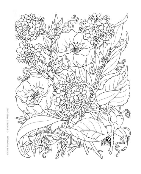 printable botanical coloring pages printable templates