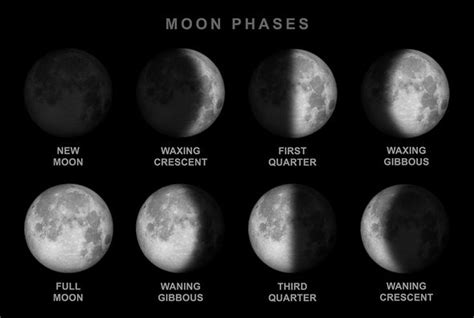 moon      moon       science