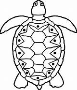 Turtle Coloring Sea Tortoise Wecoloringpage Animal sketch template
