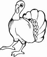 Turkey Coloring Pages Young Supercoloring Color Print Gif sketch template