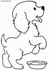Hund Hunde Ausdrucken Haustiere Ausmalen Dekoking Malvorlagen Ausmalbild Welpen Malvorlage Katze Kostenlos Erstaunlich Coloring Katzen Trainingsplan Kinderbilder Hunden Wunderbar Tegninger sketch template
