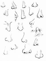 Noses sketch template