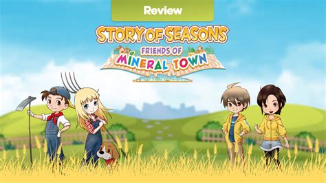 story  seasons friends  mineral town switch review vooks