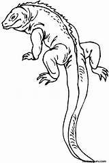 Lizard Coloring Pages Reptile Printable Kids Outline Colouring Print Color Salamander Gecko Drawing Long Sheets Reptiles Monitor Realistic Tail Lizards sketch template