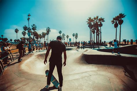Free Images Skateboarding Sport Venue Palm Tree Recreation