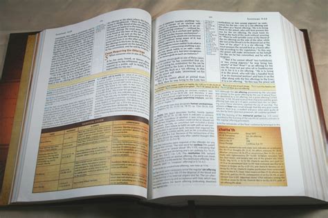 study bibles  preachers  pastors