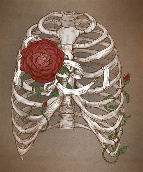 Art Bones Flowers Ribs Rose Image 783990 On