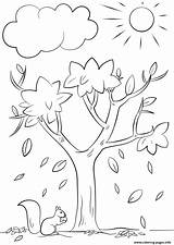 Nature Coloring Tree Pages Fall Printable Book sketch template