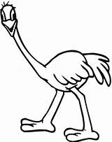 Ostrich Emu Coloring Pages Printable Color Kids Clipart Bestcoloringpagesforkids sketch template