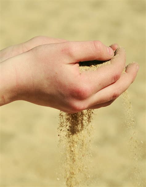 무료 이미지 바닷가 모래 사진술 따뜻한 잎 여름 다리 손가락 여가 팔 손을 잡고 닫다 인간의 몸 소유