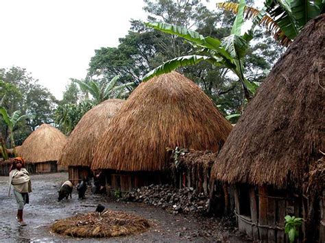 keunikan suku asmat papua indonesia raja alam indah