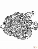Coloring Zentangle Pages Angelfish Mandala Printable Fish Paw Adult Adults Print Animal Colouring Drawing Categories Discover sketch template