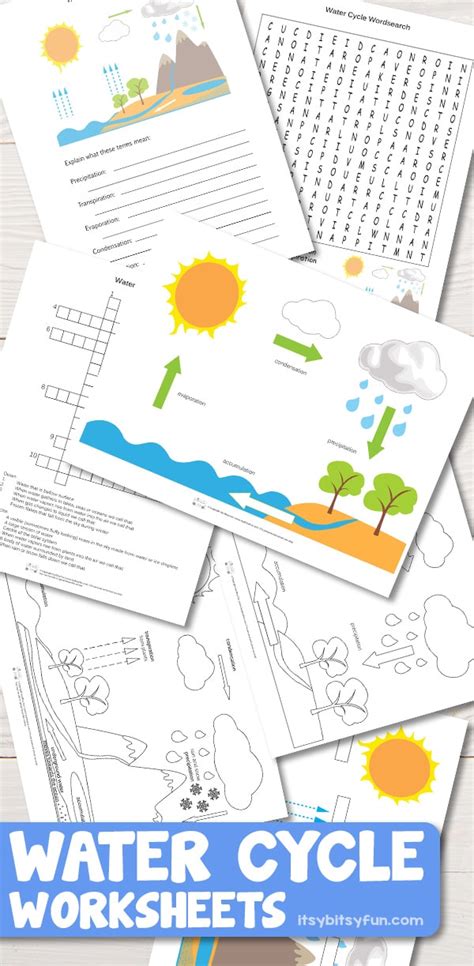 printable water cycle worksheets diagrams itsy bitsy fun