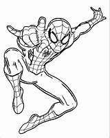Coloring Spider Man Wecoloringpage Wall Pdf Decal Giant Ultimate Print sketch template