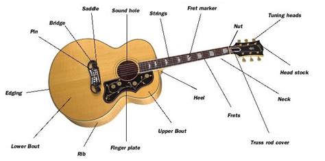 guitarmake  anatomy  construction overview