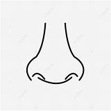 Hidung Sketsa Panca Indera Nariz Kanak Manusia Tubuh Menggambar Pngtree Lineal Cari sketch template