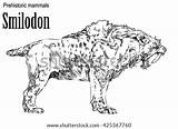Smilodon Prehistoric Sabertooth Mammals Toothed sketch template