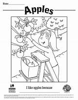 Apples Sheets Coloring sketch template