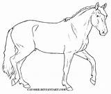 Coloring Lusitano Cavalo Kolorowanki Konie Supercoloring Konia Morgan Pferde Cavalos Lineart Horses Ausmalbild Orb Cat sketch template
