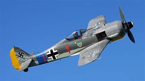 german fighter aircraft focke wulf  bound  wings  illawarra