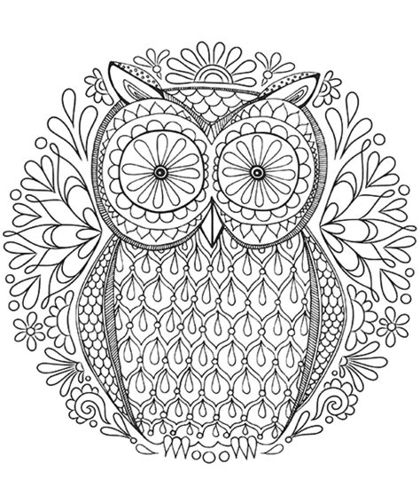 color ins owl  adults learning printable owl coloring pages