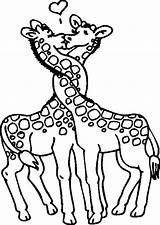 Girafe Girafes Ligne Coloriages sketch template
