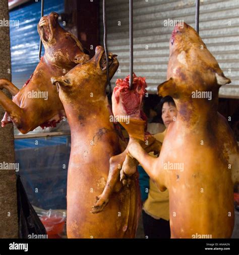 china guangxi yuangshuo local food market dog meat  sale hanging