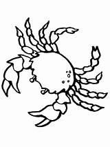 Krebs Ausmalbilder Crab Ausmalbild Krustentier Crustacean sketch template