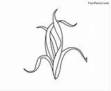 Seaweed Template Coloring Pages sketch template